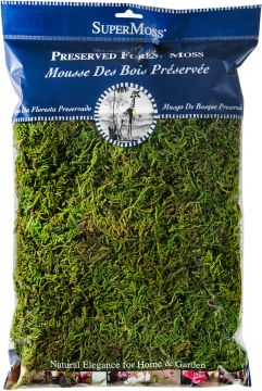 SuperMoss Forest Moss Preserved, 325 cu. in.