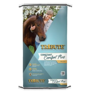 Tribute Equine Nutrition Constant Comfort Plus Topdress Gut Health Supplement for Horses, 40 lbs.