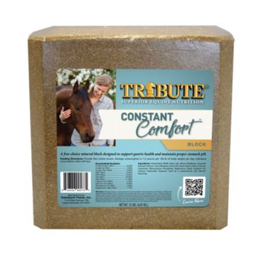 Tribute Equine Nutrition Constant Comfort Supplement Block to Support Gastric Health in Horses, 15 lb block