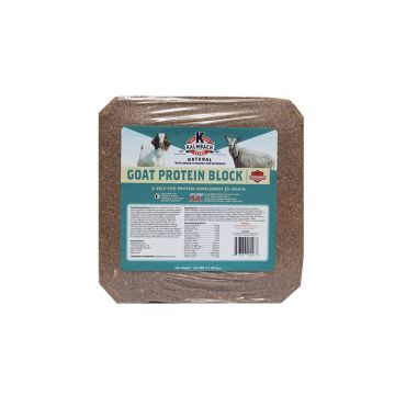 Kalmbach Feeds Natural Goat Protein Block, 20 lbs.