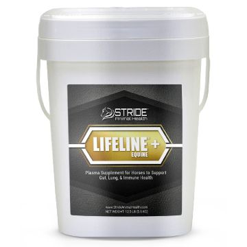 Stride® Animal Health LIFELINE®+ Equine