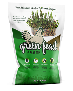 Green Feast Forage Mix