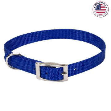 Coastal® Single-Ply Dog Collar, Blue