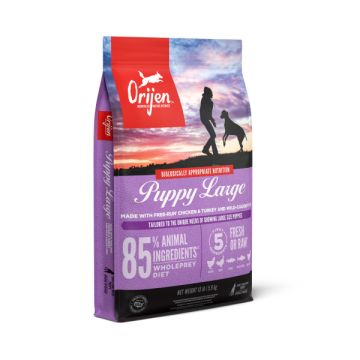 ORIJEN Puppy Large Grain Free Dry Dog Food, 23.5 lbs.