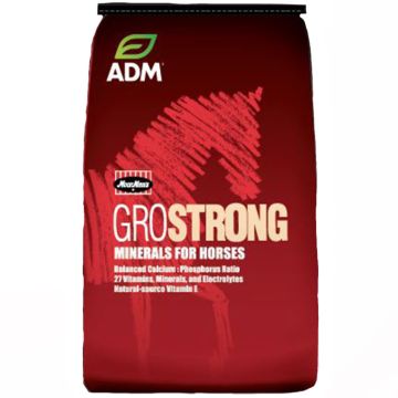 ADM GroStrong Minerals for Horses