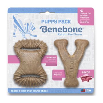 Benebone Puppy Dental Chew/Wishbone, Bacon Tiny - 2-Pack