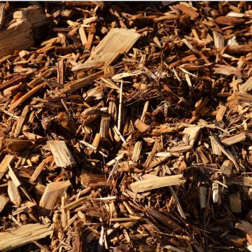 Cypress Mulch