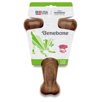 Benebone Wishbone Dog Chew Toy, Bacon