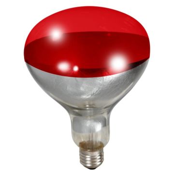 Little Giant Brooder Heat Lamp Bulb, Red