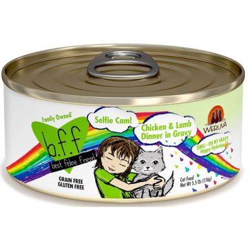 BFF - Selfie Cam! Chicken & Lamb Dinner in Gravy Cat Food, 2.8 oz. Can