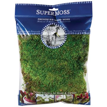 SuperMoss Mood Moss Preserved, 175 cu. in.