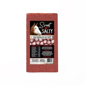 Sweet N Salty Peppermint Flavored Salt Brick Treat for Horses, 4 lbs.