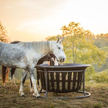 Tarter Equine Hay Basket